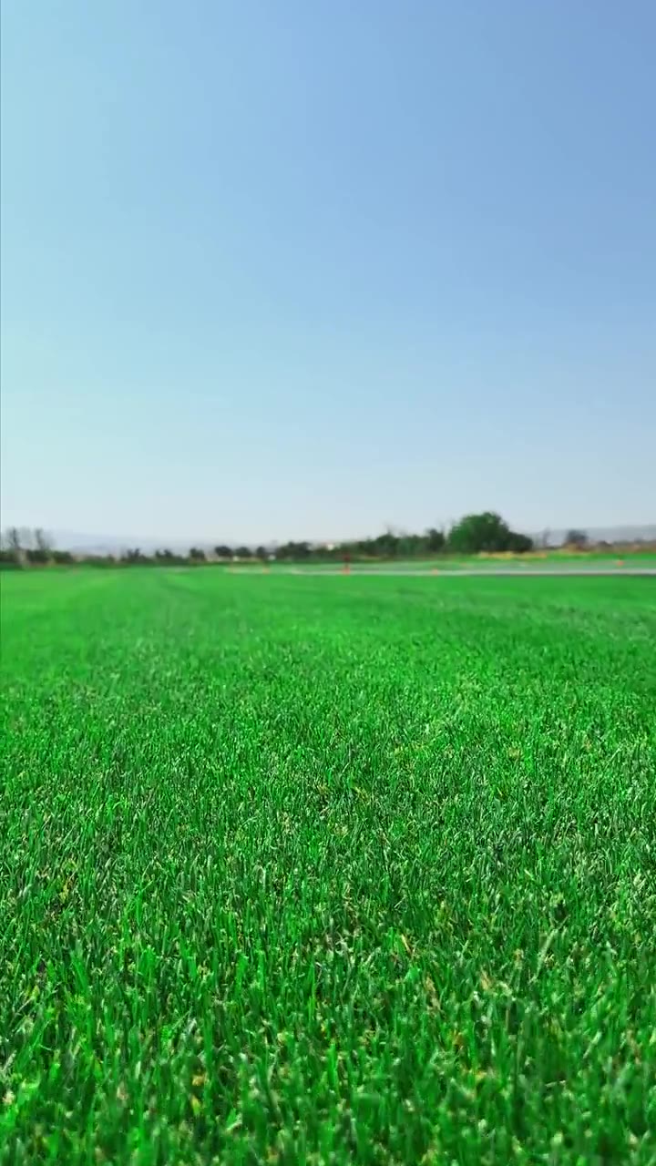 Bermuda doğal rulo çim dokusu
